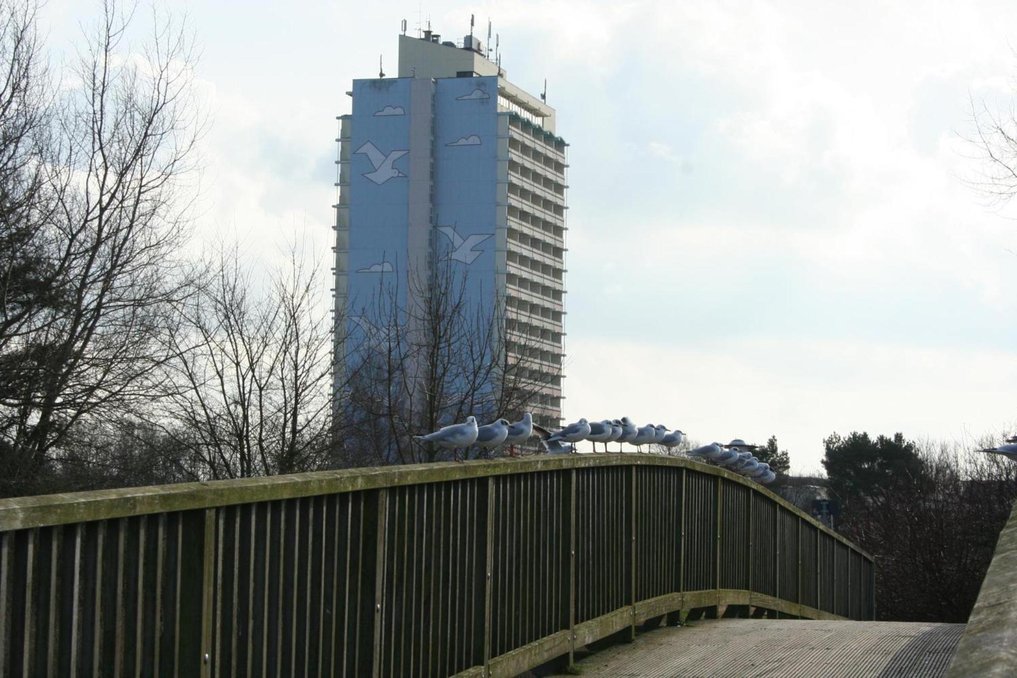 Ferienappartement K110 Fuer 2-4 Personen In Strandnaehe Brasilien Luaran gambar